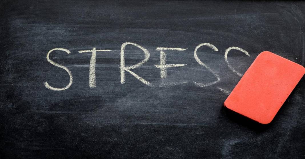 5 dakikada stresi yenmek mümkün! İşte bilimin önerdiği stresi azaltan 6 basit adım 1